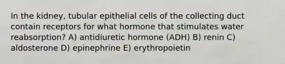 In the kidney, tubular epithelial cells of the collecting duct contain receptors for what hormone that stimulates water reabsorption? A) antidiuretic hormone (ADH) B) renin C) aldosterone D) epinephrine E) erythropoietin