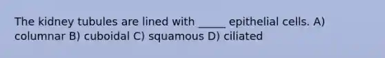 The kidney tubules are lined with _____ epithelial cells. A) columnar B) cuboidal C) squamous D) ciliated