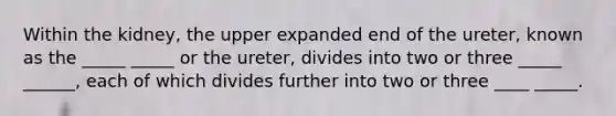 Within the kidney, the upper expanded end of the ureter, known as the _____ _____ or the ureter, divides into two or three _____ ______, each of which divides further into two or three ____ _____.