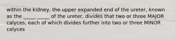 within the kidney, the upper expanded end of the ureter, known as the _____ _____ of the ureter, divides that two or three MAJOR calyces, each of which divides further into two or three MINOR calyces