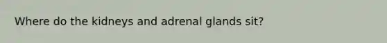 Where do the kidneys and adrenal glands sit?