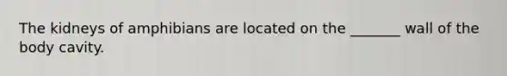The kidneys of amphibians are located on the _______ wall of the body cavity.