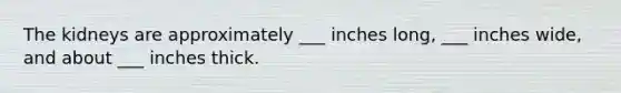 The kidneys are approximately ___ inches long, ___ inches wide, and about ___ inches thick.