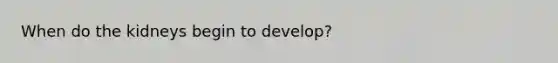 When do the kidneys begin to develop?