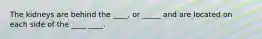The kidneys are behind the ____, or _____ and are located on each side of the ____ ____.