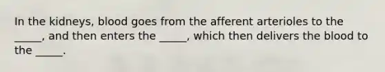 In the kidneys, blood goes from the afferent arterioles to the _____, and then enters the _____, which then delivers the blood to the _____.