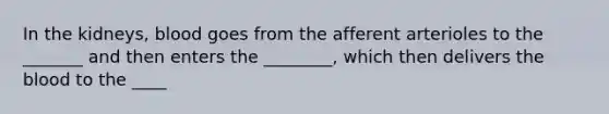 In the kidneys, blood goes from the afferent arterioles to the _______ and then enters the ________, which then delivers <a href='https://www.questionai.com/knowledge/k7oXMfj7lk-the-blood' class='anchor-knowledge'>the blood</a> to the ____