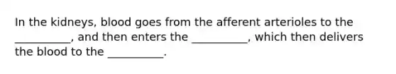 In the kidneys, blood goes from the afferent arterioles to the __________, and then enters the __________, which then delivers the blood to the __________.
