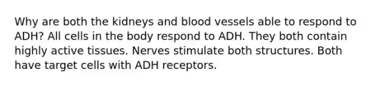 Why are both the kidneys and blood vessels able to respond to ADH? All cells in the body respond to ADH. They both contain highly active tissues. Nerves stimulate both structures. Both have target cells with ADH receptors.