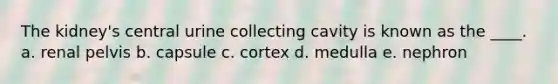 The kidney's central urine collecting cavity is known as the ____.​ a. renal p​elvis b. ​capsule c. ​cortex d. ​medulla e. nephron​