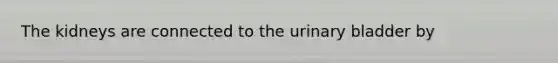 The kidneys are connected to the urinary bladder by