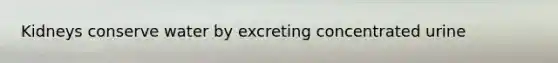 Kidneys conserve water by excreting concentrated urine
