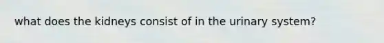 what does the kidneys consist of in the urinary system?