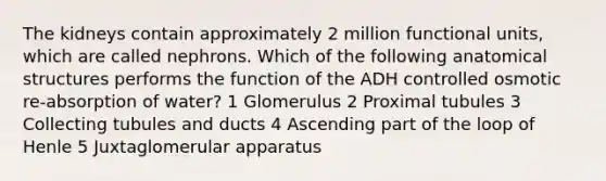 The kidneys contain approximately 2 million functional units, which are called nephrons. Which of the following anatomical structures performs the function of the ADH controlled osmotic re-absorption of water? 1 Glomerulus 2 Proximal tubules 3 Collecting tubules and ducts 4 Ascending part of the loop of Henle 5 Juxtaglomerular apparatus