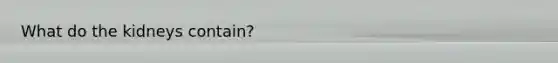 What do the kidneys contain?