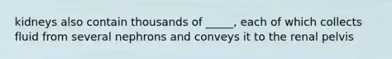 kidneys also contain thousands of _____, each of which collects fluid from several nephrons and conveys it to the renal pelvis