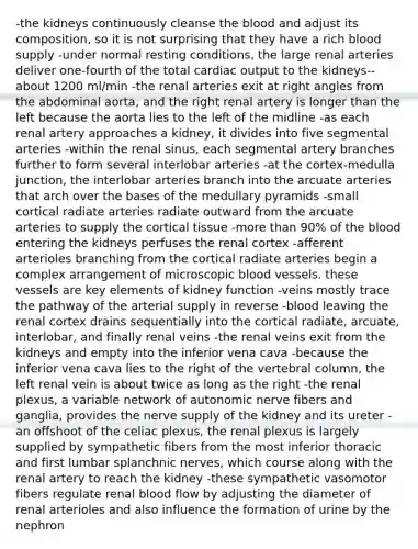 -the kidneys continuously cleanse the blood and adjust its composition, so it is not surprising that they have a rich blood supply -under normal resting conditions, the large renal arteries deliver one-fourth of the total cardiac output to the kidneys-- about 1200 ml/min -the renal arteries exit at right angles from the abdominal aorta, and the right renal artery is longer than the left because the aorta lies to the left of the midline -as each renal artery approaches a kidney, it divides into five segmental arteries -within the renal sinus, each segmental artery branches further to form several interlobar arteries -at the cortex-medulla junction, the interlobar arteries branch into the arcuate arteries that arch over the bases of the medullary pyramids -small cortical radiate arteries radiate outward from the arcuate arteries to supply the cortical tissue -more than 90% of the blood entering the kidneys perfuses the renal cortex -afferent arterioles branching from the cortical radiate arteries begin a complex arrangement of microscopic blood vessels. these vessels are key elements of kidney function -veins mostly trace the pathway of the arterial supply in reverse -blood leaving the renal cortex drains sequentially into the cortical radiate, arcuate, interlobar, and finally renal veins -the renal veins exit from the kidneys and empty into the inferior vena cava -because the inferior vena cava lies to the right of the vertebral column, the left renal vein is about twice as long as the right -the renal plexus, a variable network of autonomic nerve fibers and ganglia, provides the nerve supply of the kidney and its ureter -an offshoot of the celiac plexus, the renal plexus is largely supplied by sympathetic fibers from the most inferior thoracic and first lumbar splanchnic nerves, which course along with the renal artery to reach the kidney -these sympathetic vasomotor fibers regulate renal blood flow by adjusting the diameter of renal arterioles and also influence the formation of urine by the nephron