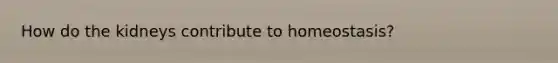 How do the kidneys contribute to homeostasis?