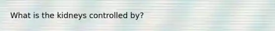 What is the kidneys controlled by?