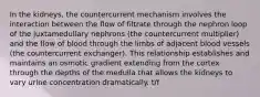 In the kidneys, the countercurrent mechanism involves the interaction between the flow of filtrate through the nephron loop of the juxtamedullary nephrons (the countercurrent multiplier) and the flow of blood through the limbs of adjacent blood vessels (the countercurrent exchanger). This relationship establishes and maintains an osmotic gradient extending from the cortex through the depths of the medulla that allows the kidneys to vary urine concentration dramatically. t/f