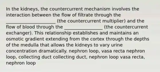 In the kidneys, the countercurrent mechanism involves the interaction between the flow of filtrate through the ______________________ (the countercurrent multiplier) and the flow of blood through the _________________ (the countercurrent exchanger). This relationship establishes and maintains an osmotic gradient extending from the cortex through the depths of the medulla that allows the kidneys to vary urine concentration dramatically. nephron loop, vasa recta nephron loop, collecting duct collecting duct, nephron loop vasa recta, nephron loop