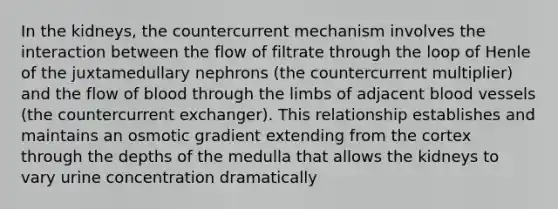 In the kidneys, the countercurrent mechanism involves the interaction between the flow of filtrate through the loop of Henle of the juxtamedullary nephrons (the countercurrent multiplier) and the flow of blood through the limbs of adjacent <a href='https://www.questionai.com/knowledge/kZJ3mNKN7P-blood-vessels' class='anchor-knowledge'>blood vessels</a> (the countercurrent exchanger). This relationship establishes and maintains an osmotic gradient extending from the cortex through the depths of the medulla that allows the kidneys to vary urine concentration dramatically