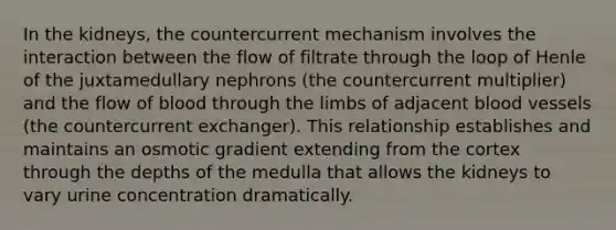 In the kidneys, the countercurrent mechanism involves the interaction between the flow of filtrate through the loop of Henle of the juxtamedullary nephrons (the countercurrent multiplier) and the flow of blood through the limbs of adjacent blood vessels (the countercurrent exchanger). This relationship establishes and maintains an osmotic gradient extending from the cortex through the depths of the medulla that allows the kidneys to vary urine concentration dramatically.