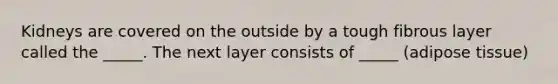 Kidneys are covered on the outside by a tough fibrous layer called the _____. The next layer consists of _____ (adipose tissue)