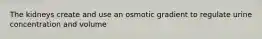 The kidneys create and use an osmotic gradient to regulate urine concentration and volume