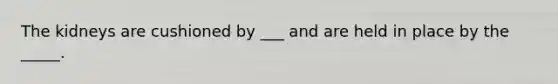 The kidneys are cushioned by ___ and are held in place by the _____.