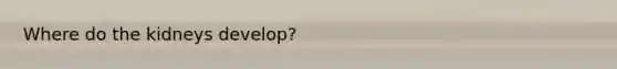 Where do the kidneys develop?