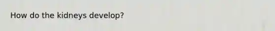 How do the kidneys develop?