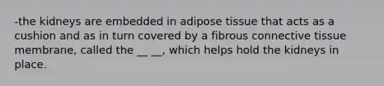 -the kidneys are embedded in adipose tissue that acts as a cushion and as in turn covered by a fibrous connective tissue membrane, called the __ __, which helps hold the kidneys in place.