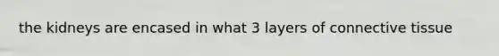 the kidneys are encased in what 3 layers of connective tissue