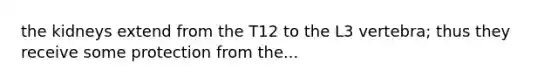 the kidneys extend from the T12 to the L3 vertebra; thus they receive some protection from the...