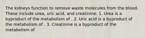 The kidneys function to remove waste molecules from the blood. These include urea, uric acid, and creatinine. 1. Urea is a byproduct of the metabolism of . 2. Uric acid is a byproduct of the metabolism of . 3. Creatinine is a byproduct of the metabolism of