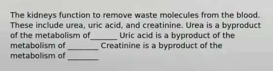 The kidneys function to remove waste molecules from <a href='https://www.questionai.com/knowledge/k7oXMfj7lk-the-blood' class='anchor-knowledge'>the blood</a>. These include urea, uric acid, and creatinine. Urea is a byproduct of the metabolism of_______ Uric acid is a byproduct of the metabolism of ________ Creatinine is a byproduct of the metabolism of ________