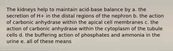 The kidneys help to maintain acid-base balance by a. the secretion of H+ in the distal regions of the nephron b. the action of carbonic anhydrase within the apical cell membranes c. the action of carbonic anhydrase within the cytoplasm of the tubule cells d. the buffering action of phosphates and ammonia in the urine e. all of these means