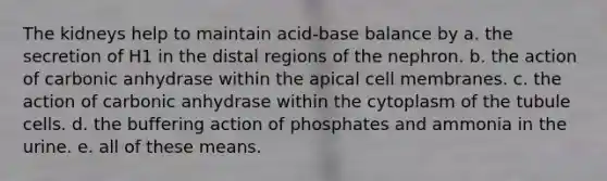 The kidneys help to maintain acid-base balance by a. the secretion of H1 in the distal regions of the nephron. b. the action of carbonic anhydrase within the apical cell membranes. c. the action of carbonic anhydrase within the cytoplasm of the tubule cells. d. the buffering action of phosphates and ammonia in the urine. e. all of these means.