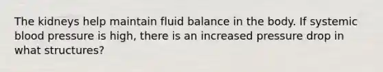 The kidneys help maintain fluid balance in the body. If systemic blood pressure is high, there is an increased pressure drop in what structures?