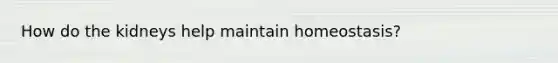 How do the kidneys help maintain homeostasis?