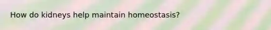 How do kidneys help maintain homeostasis?