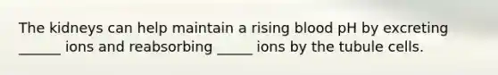 The kidneys can help maintain a rising blood pH by excreting ______ ions and reabsorbing _____ ions by the tubule cells.