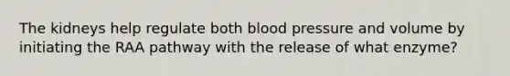 The kidneys help regulate both <a href='https://www.questionai.com/knowledge/kD0HacyPBr-blood-pressure' class='anchor-knowledge'>blood pressure</a> and volume by initiating the RAA pathway with the release of what enzyme?