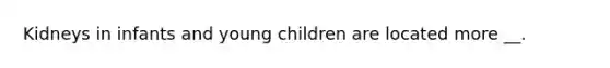 Kidneys in infants and young children are located more __.