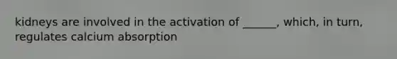 kidneys are involved in the activation of ______, which, in turn, regulates calcium absorption