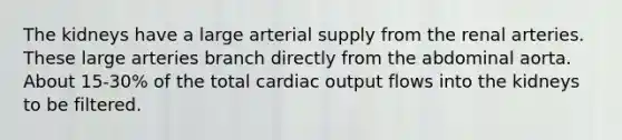 The kidneys have a large arterial supply from the renal arteries. These large arteries branch directly from the abdominal aorta. About 15-30% of the total cardiac output flows into the kidneys to be filtered.