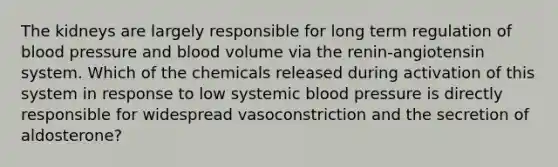 The kidneys are largely responsible for long term regulation of blood pressure and blood volume via the renin-angiotensin system. Which of the chemicals released during activation of this system in response to low systemic blood pressure is directly responsible for widespread vasoconstriction and the secretion of aldosterone?