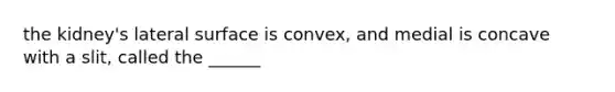 the kidney's lateral surface is convex, and medial is concave with a slit, called the ______