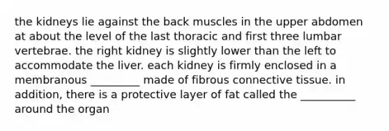 the kidneys lie against the back muscles in the upper abdomen at about the level of the last thoracic and first three lumbar vertebrae. the right kidney is slightly lower than the left to accommodate the liver. each kidney is firmly enclosed in a membranous _________ made of fibrous connective tissue. in addition, there is a protective layer of fat called the __________ around the organ